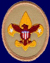 Tenderfoot rank badge